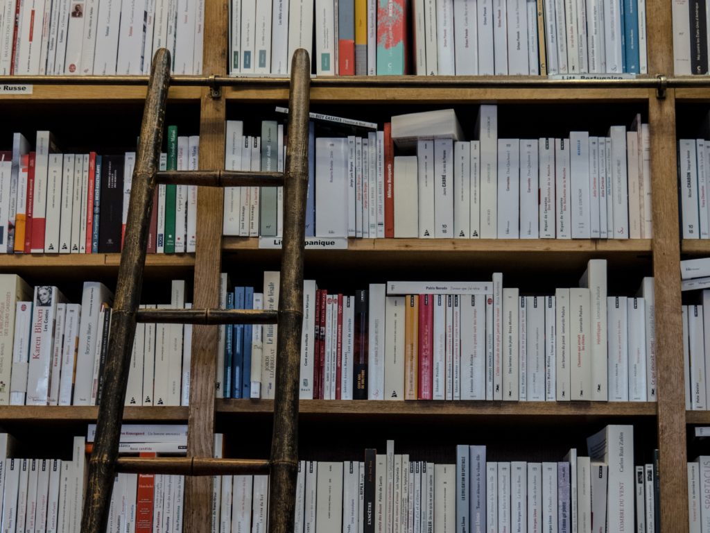 Bücherrgal mit Leiter