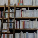 Bücherrgal mit Leiter