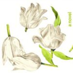 Oh William! Book cover - Digital concept art for illustrative purpose, tags: mehr als - Monok